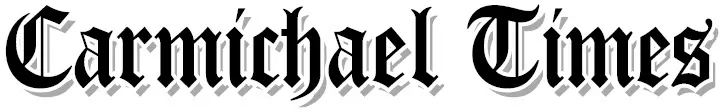 A black and white image of the word " haelche ".